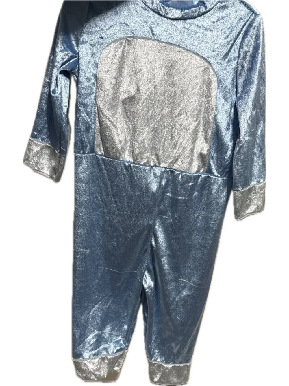 Bluey disguise 2t